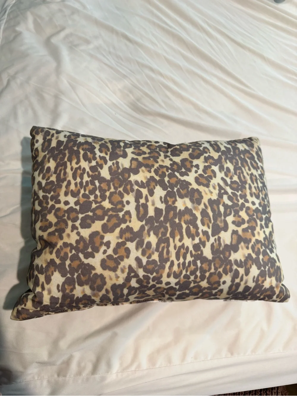 Pottery Barn Leopard Print Throw Pillow